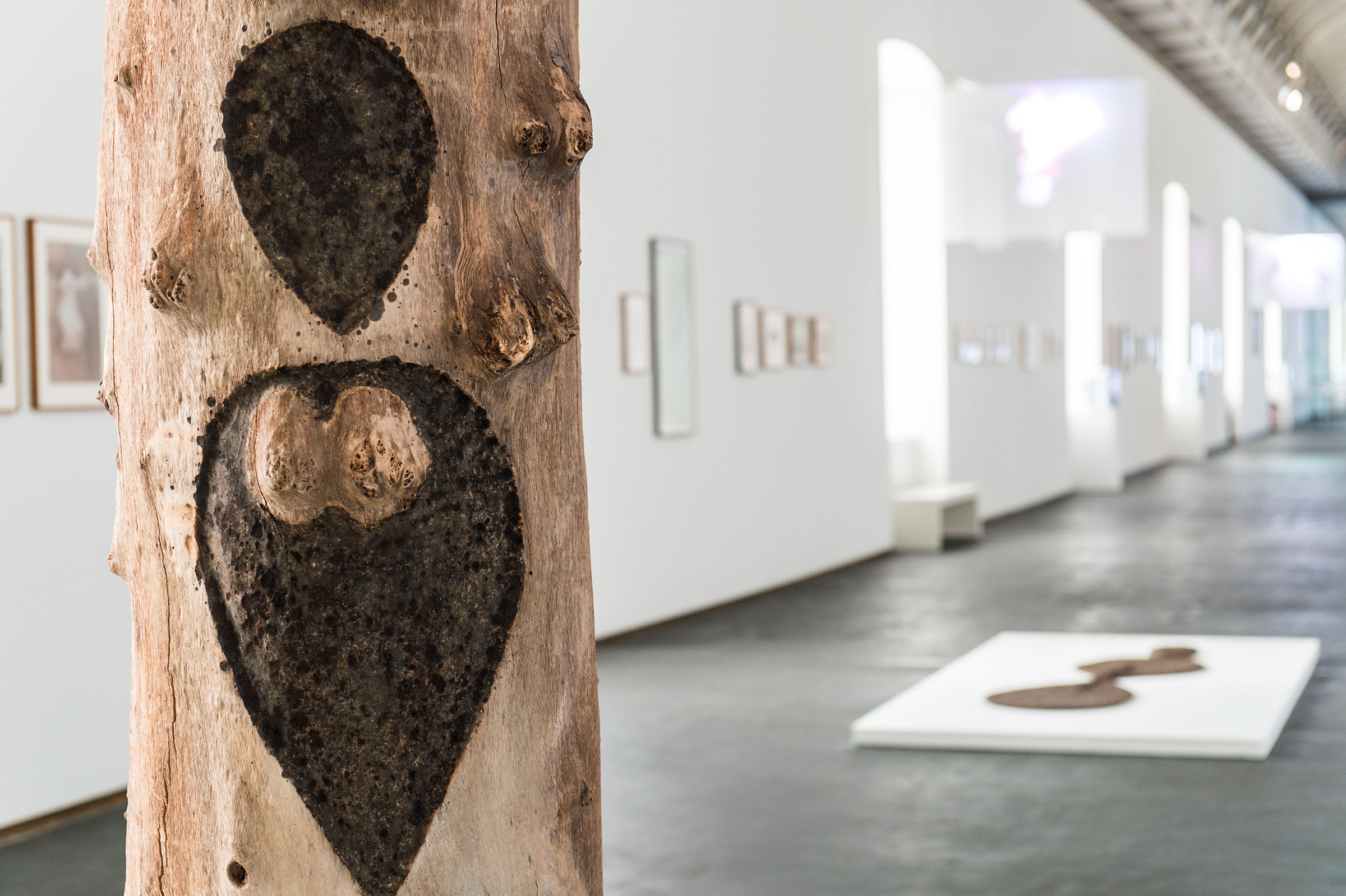 u0022Ana Mendieta. She Got Loveu0022, veduta espositiva